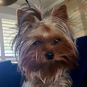 Meet your Posher, Matty